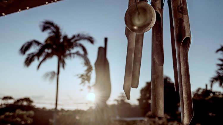 Third place: Aching Bones by Zoë D.&nbsp;Marriott