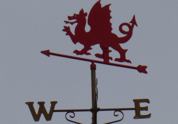 New Voice Award: Mrs Mabli and the Weather Committee by Sharon&nbsp;Hier